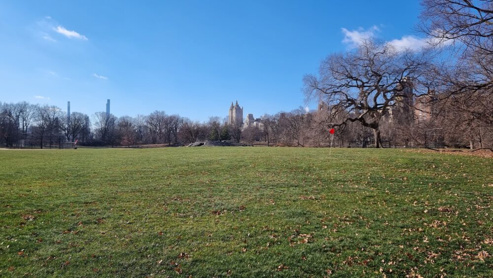 NORTH MEADOW MAP visual data 5